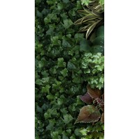 4100151 Jane A 50x100