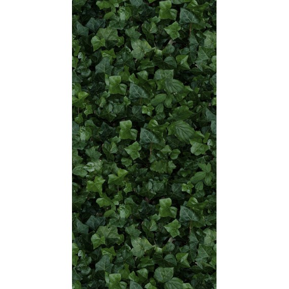 Керамогранит 4100155 Jane E 50x100