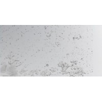 Керамогранит 4100164 Yaki Narciso 15x30