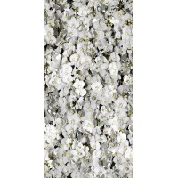4100287 Eva 50x100