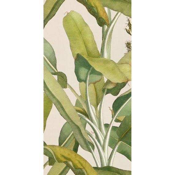 Керамогранит 4100336 Musa 50x100