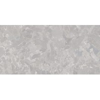 4100511 Solo Grey 60x120