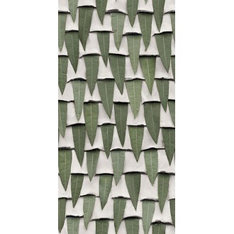 4100544 Silvi 50x100