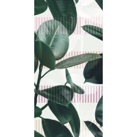 4100713 Olivia 50x100