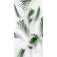 4100715 Cristoforo 60x120
