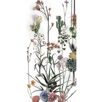 4100716 Franz 60x120