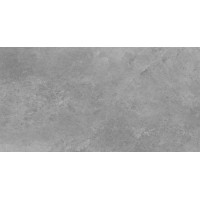 43880 Tacoma Silver Rect 119,7x59,7
