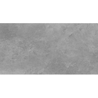 43880 Tacoma Silver Rect 119,7x59,7