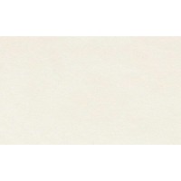 Плитка 562086 KREO WHITE 60X20