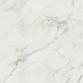 57651 Statuario Lapp.Rett. 80x80