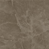 610010001166 Supernova Stone Grey Lastra 60x60