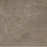 610010001391 Force Grey Rett 60x60