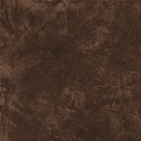 610010001864 Thesis Moka/Тезис Мока 60X60