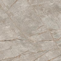 610010002180 Empire Silver Root Rett 80x80