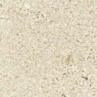 610090001653 Wise Ice Mist Bottone 7.2x7.2