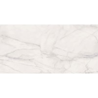 648S1Y Calacatta Lappato Lucido Rett. 59x118.2 