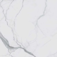 746590 I CLASSICI STATUARIO GLOSSY RET 60х60