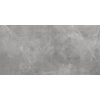 7598 Stonemood Silver 79.7x159.7