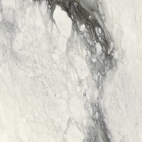 761665 ETOILE RENOIR MAT RET 80x80