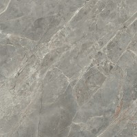 761671 ETOILE GRIS GLOSSY RET 80x80