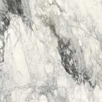 761695 ETOILE RENOIR GLOSSY RET 60X60