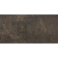 7659 Stonemood Brown 79.7x159.7