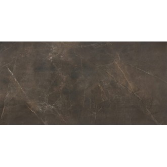 7659 Stonemood Brown 79.7x159.7