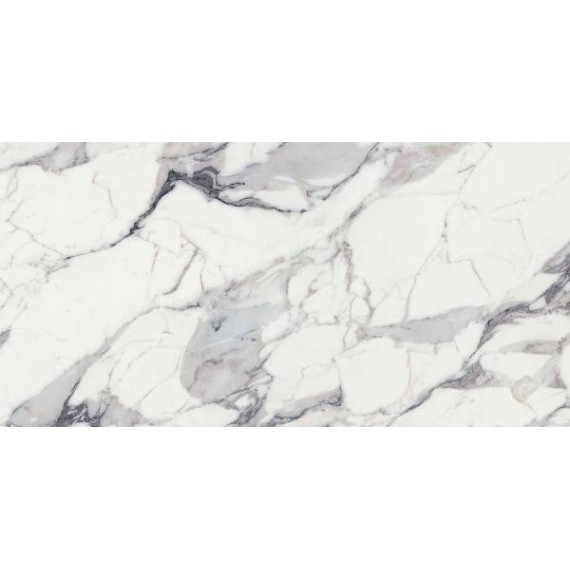 Керамогранит 769859 LES ORIGINES DE REX ARGENT GLOSSY 60x120