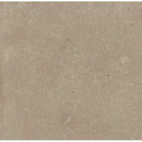 Керамогранит 792040 D-esign Evo Tortora 20*20