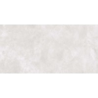 Керамогранит 8P13 FULSON-R GRIS 119,3x59,3