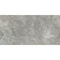 Керамогранит 90013 Silver Nat 30,5x60,5