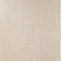 Керамогранит A031629 Carpet Natural Rect 60x60