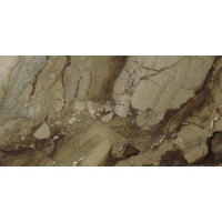 Керамогранит A035909 REX BROWN POLISHED RECT. 60x120
