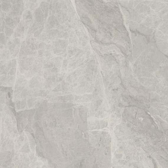 Керамогранит A036621 SILVER PEARL MATT 60x60