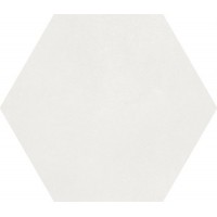 A037097 MACBA Coconut Milk 23x26