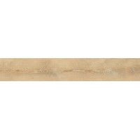 Керамогранит A94009 CA FOSCARI AVANA RETT. 20X120