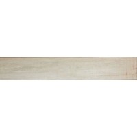 Керамогранит AYAN 20X120