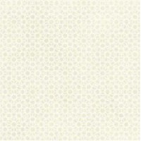 AZULEJ RENDA BIANCO 20X20