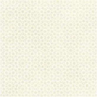 AZULEJ RENDA BIANCO 20X20