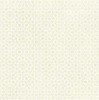 AZULEJ RENDA BIANCO 20X20