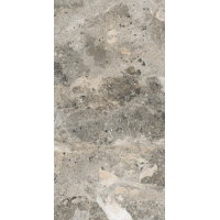 Alaska Grey Pol. 60x120