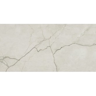 Ape Amboise Lux Pol Rect 60х120