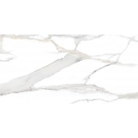 Керамогранит Antique Satvario White Carving 120x60
