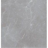 Arion Gray Dark 60x60