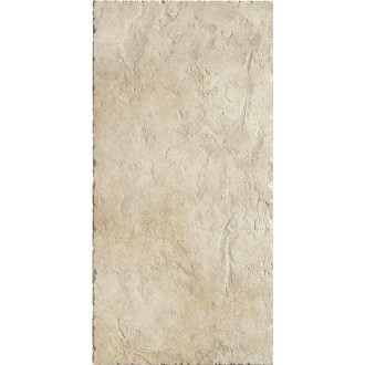 Керамогранит B79005 Azteca Avorio 49x98