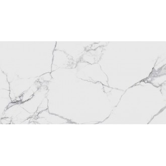 BELMONDO Bianco Polished 60x120
