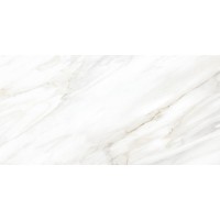 Керамогранит BVRM11526KNA Covelano Polished 60x120