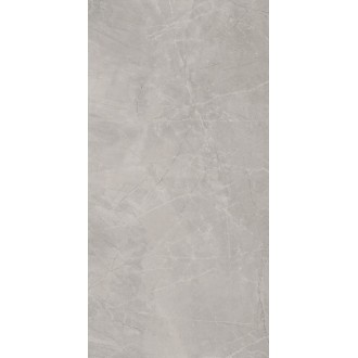 Bayona Silver Natural 120x240