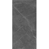 Berrys Graffite High gloss 60*120