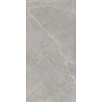 Berrys Grey High gloss 60*120